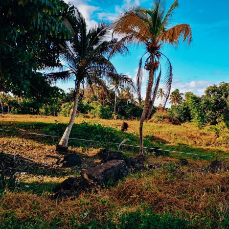 La Réunion : 3 Semaines à la découverte de l’île intense