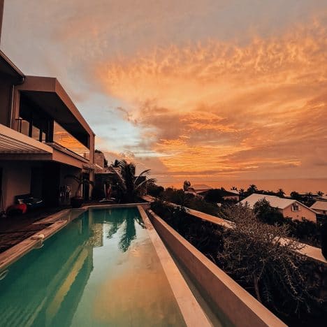 Tout ce que vous devez savoir sur les Requins par Ocean Ramsey